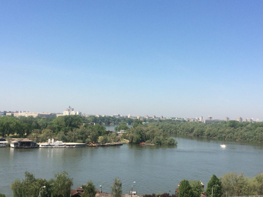 Confluence of the rivers Sava and Danube